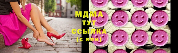 индика Баксан